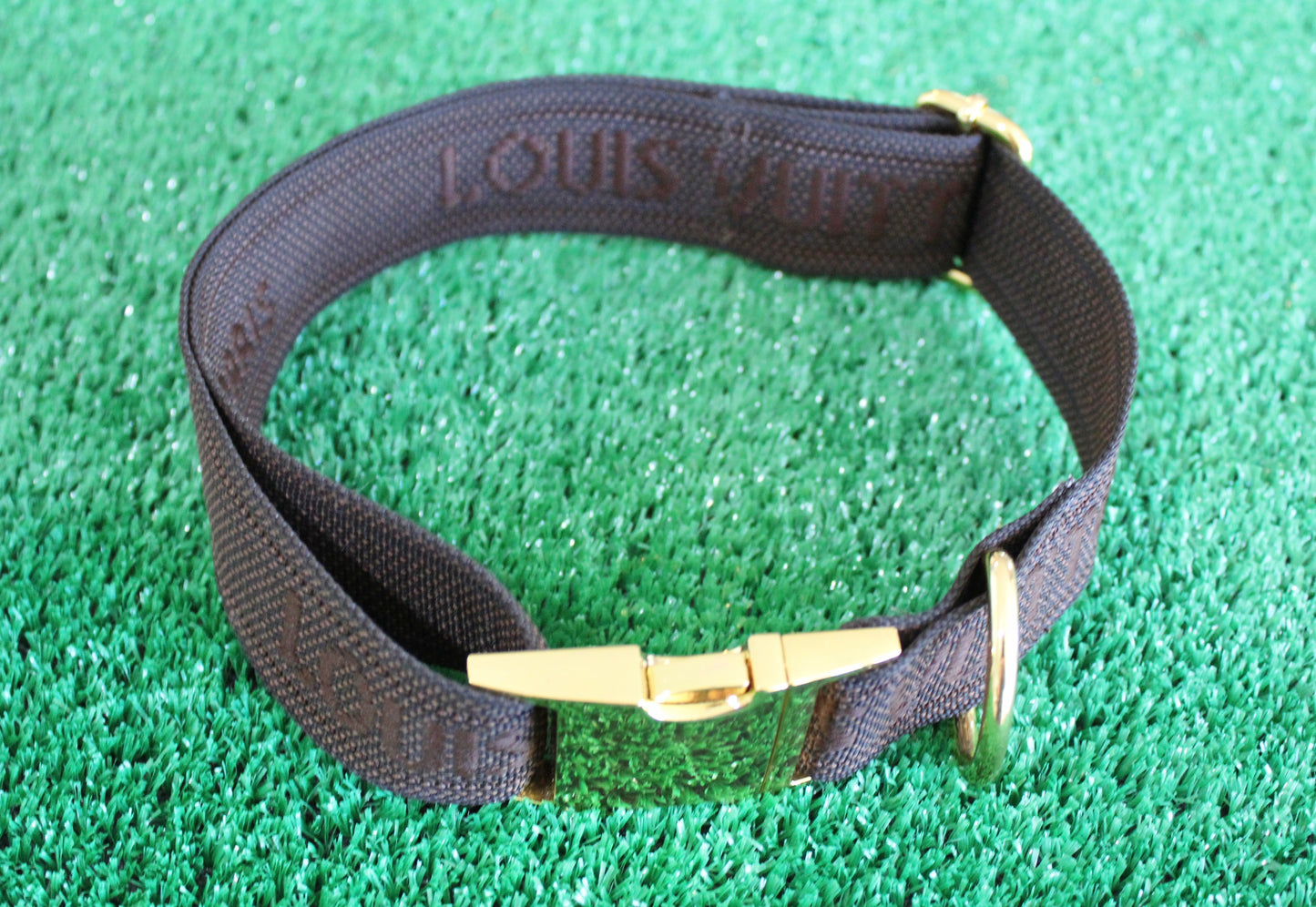 XL Dog Collar from Repurposed LV Strap