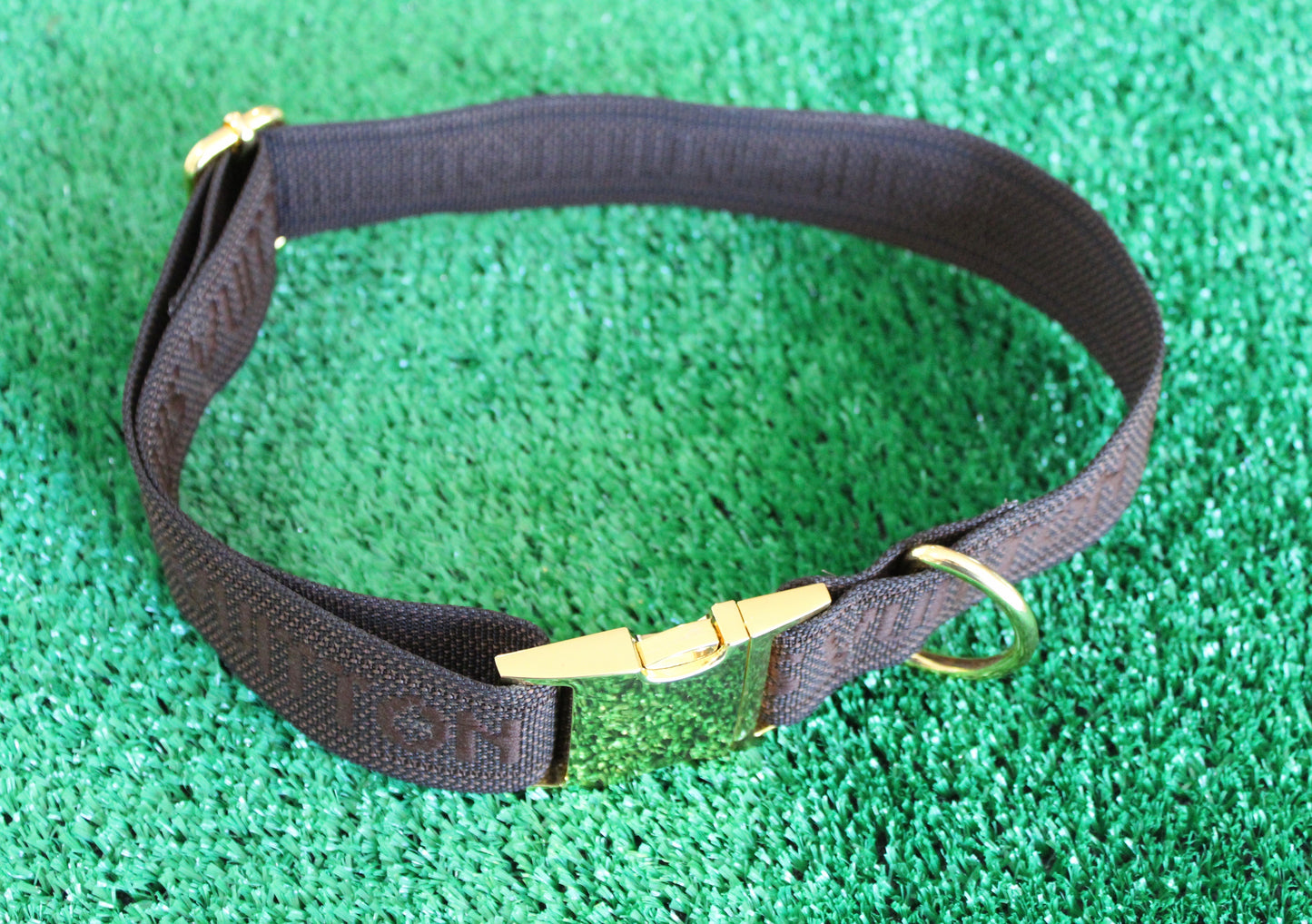 XL Dog Collar from Repurposed LV Strap