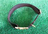 XL Dog Collar from Repurposed LV Strap